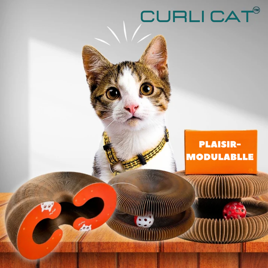 CurliCat™ - The secret to feline happiness