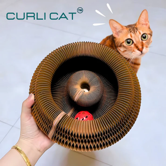 CurliCat™ - Le secret du bonheur félin