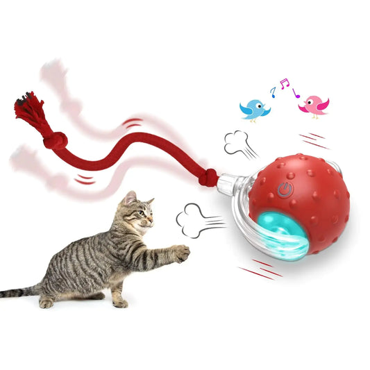 BallCat™- Attrape-la… si tu peux !